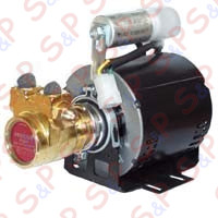 POMPA COMPLETA A FASCETTA