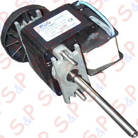 PUMP MOTOR P.50 -220/60/1