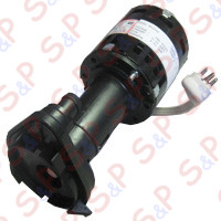 WATER PUMP 230/50/1