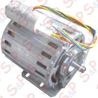 MOTORE 1/3 HP