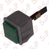 SPIA LUMINOSA SINGOLA VERDE 220V