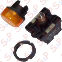 SPIA LUMINOSA GIALLA