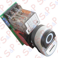 BOARD LOW VOLTAGE 230V WITH BUTTON MOD. TG00MINI