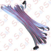 "PIATTINA MULTIFILO ""F10p"" L=2300"