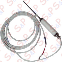 TERMORESISTENZA PT100