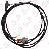 SONDA CARNE SCC, SCC_WE 61-102