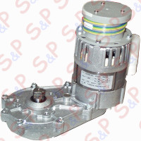 ASSIEME MOTORIDUTTORE