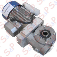 ASSIEME MOTORIDUTTORE