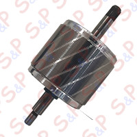 ROTORE PER MOTORIDUTTORE TIPO MAGNETICO
