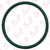 BELT POLICORD COMPACT-JOLLY TANK 5-8 LITERS