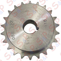 "PIGNONE Z22-1/2""-D.20/CHIAV."