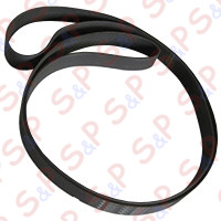 TBS140 BELT POLY V 2337 J12