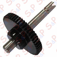 GEAR WITH SHAFT