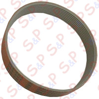 CINGHIA PIATTA 16 X 295 8 NERVATURE